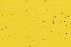 Линолеум Forbo Sphera Energetic 50201 yellow фото  | FLOORDEALER